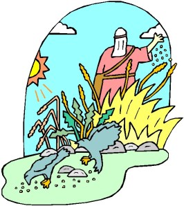 PARABLE OF THE SOWER