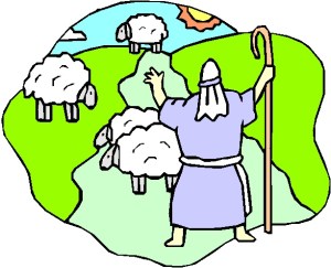 SHEPHERD &amp; SHEEP