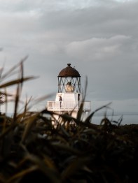 grass-lighthouse-perspective-18907095499443377558362750.jpg