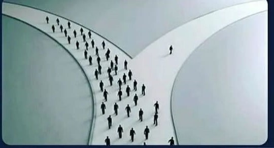 52833059_2750808021626443_2977568627223429120_n (2)