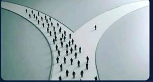 52833059_2750808021626443_2977568627223429120_n (2)