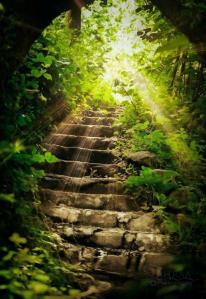 1bb1404953884bc62cdfb31afc62977c