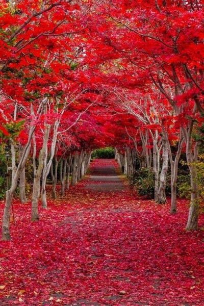 41d6dfc6c3a158dd59ed0545fce1e64a