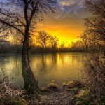 cropped-0103db0c899cd0b8b69538e2367c4fdd