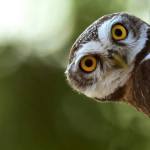 ccb89d40614f2c5ad19f369910158044