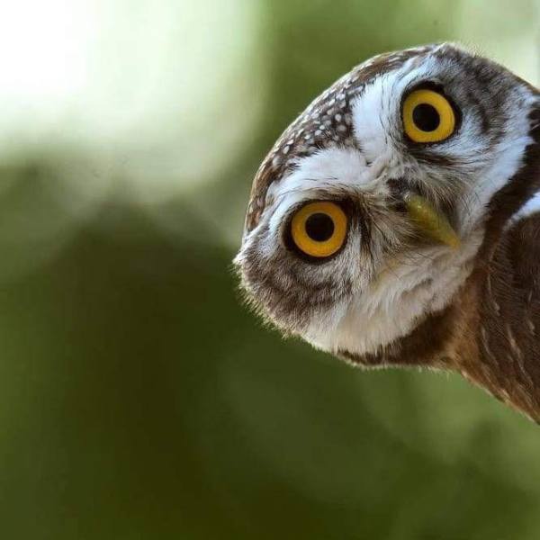 ccb89d40614f2c5ad19f369910158044