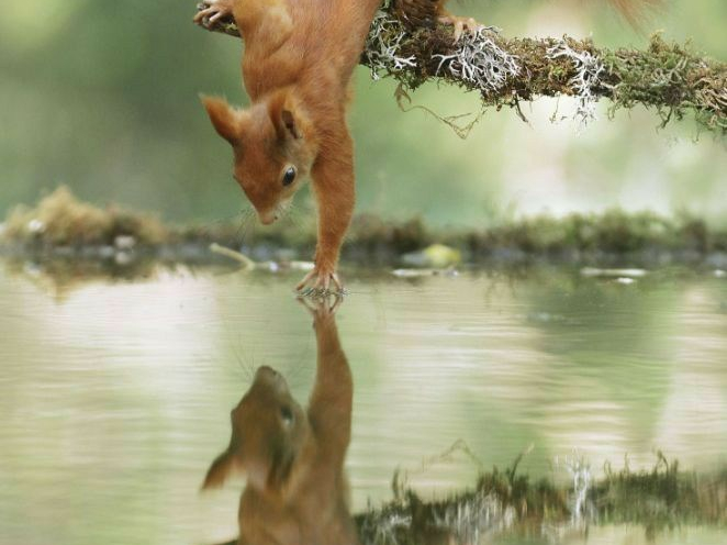 This image has an empty alt attribute; its file name is wp-15874444525963360963509642995131-e1588284142386.jpg