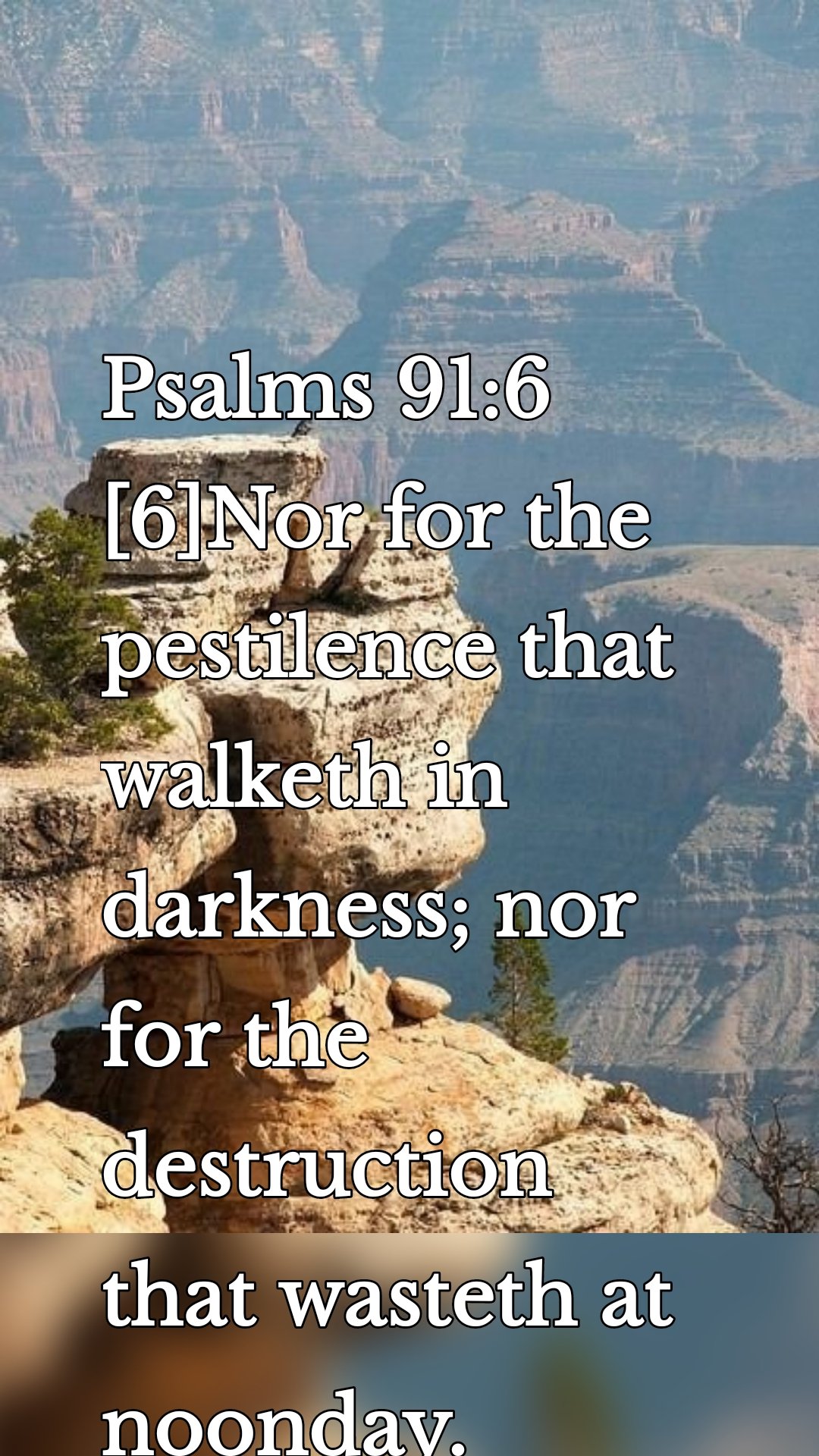 Psalms 91:6
[6]Nor for the pestilence that walketh in darkness; nor for the destruction that wasteth at noonday.