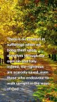 There is no comfort in sufferings when we bring them upon ourselves through our own sin and folly. Indeed, the righteous are scarcely saved, even those who endeavour to walk upright in the ways of God.