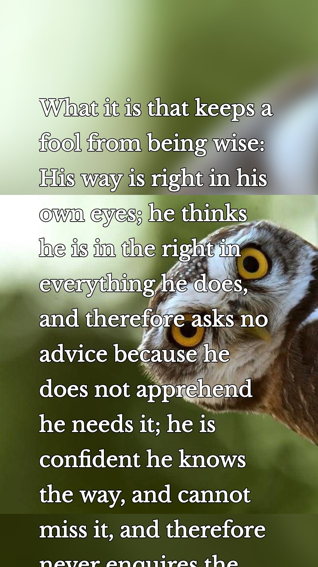 What it is that keeps a fool from being wise: His way is right in his own eyes; he thinks he is in the right in everything he does, and therefore asks no advice because he does not apprehend he needs it; he is confident he knows the way, and cannot miss it, and therefore never enquires the way.