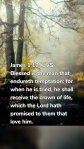 James 1:12 KJVS Blessed is the man that endureth temptation: for when he is tried, he shall receive the crown of life, which the Lord hath promised to them that love him.