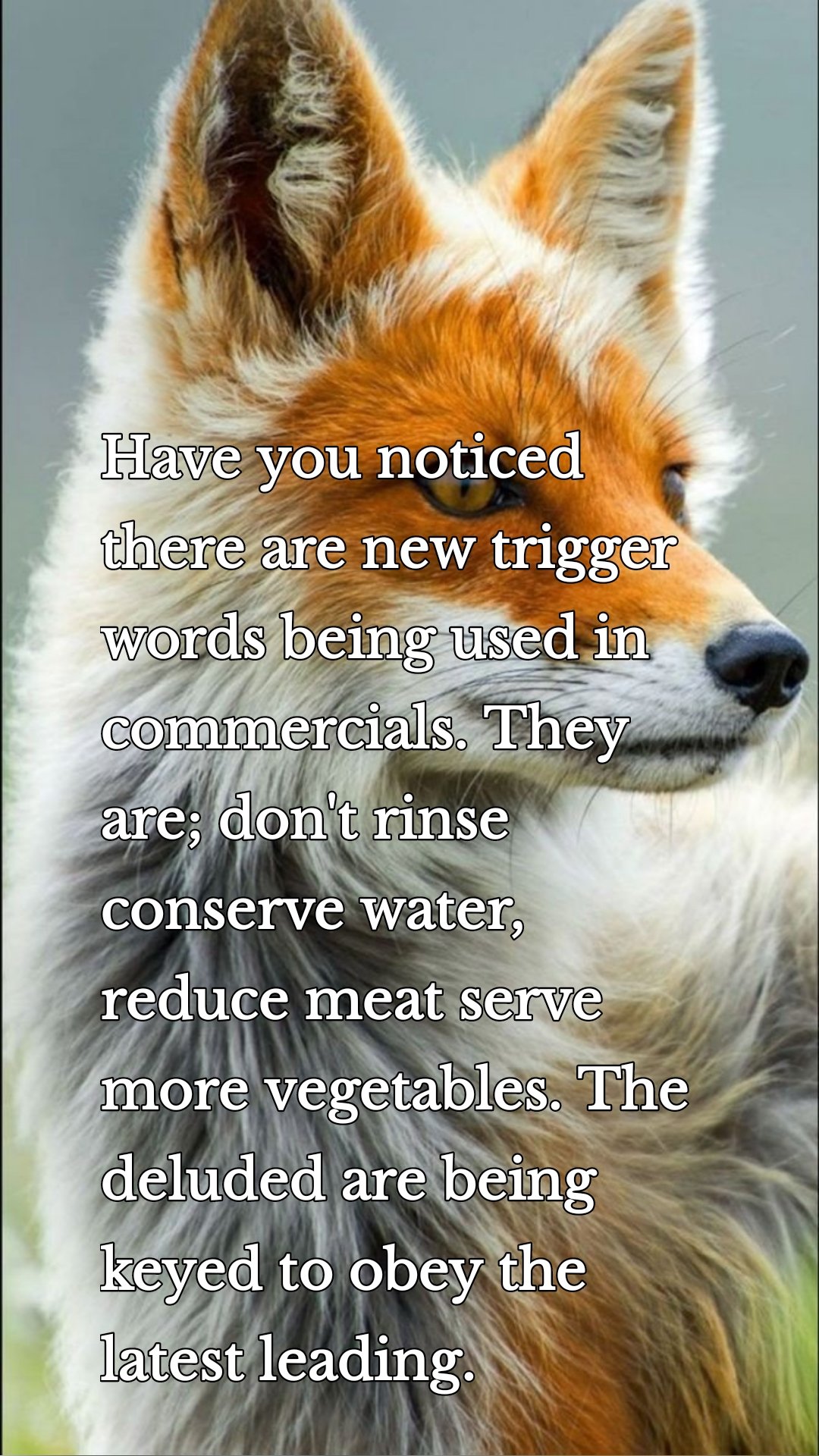 Have you noticed there are new trigger words being used in commercials. They are; don't rinse conserve water, reduce meat serve more vegetables. The deluded are being keyed to obey the latest leading. 