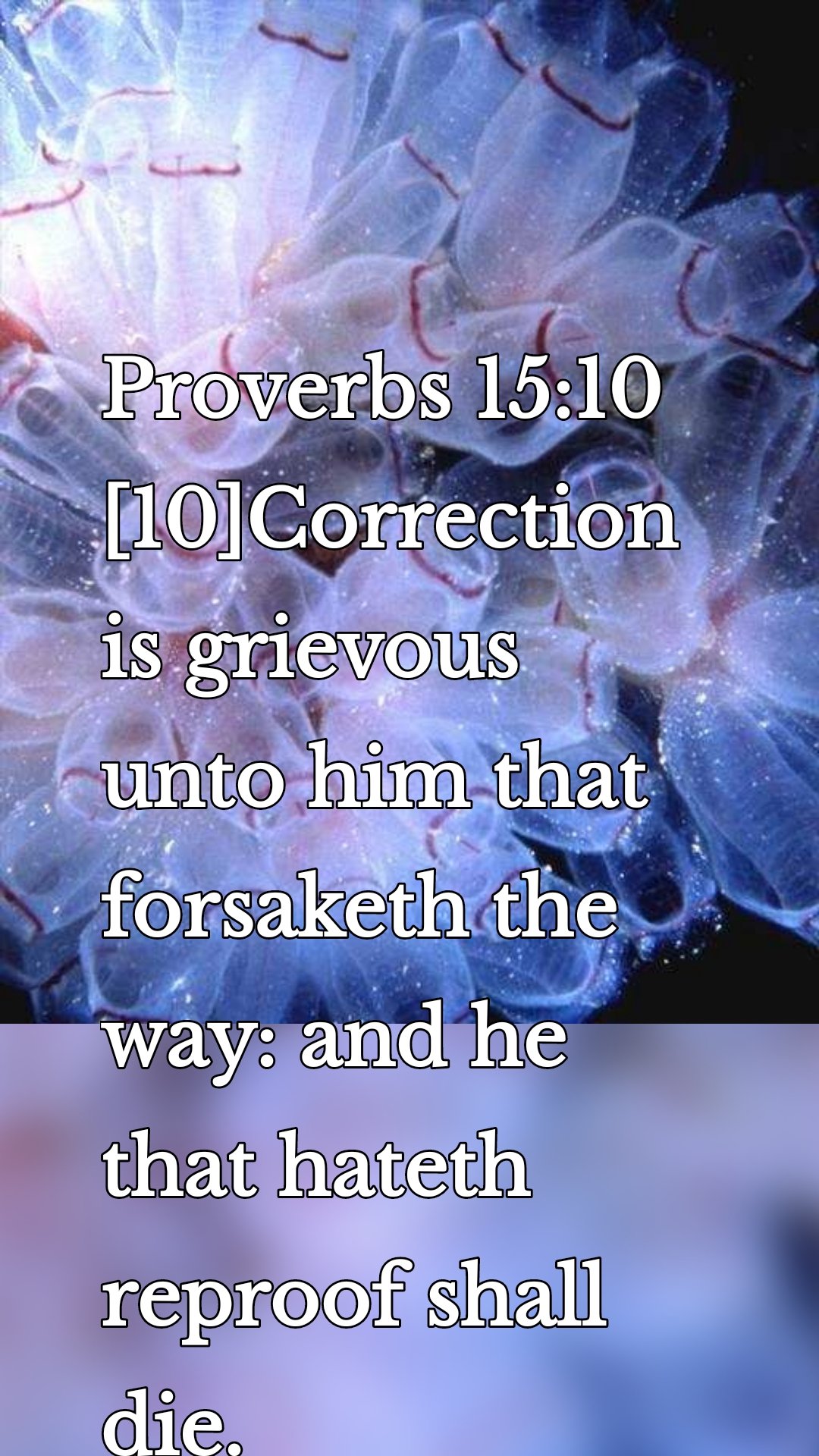 Proverbs 15:10
[10]Correction is grievous unto him that forsaketh the way: and he that hateth reproof shall die.