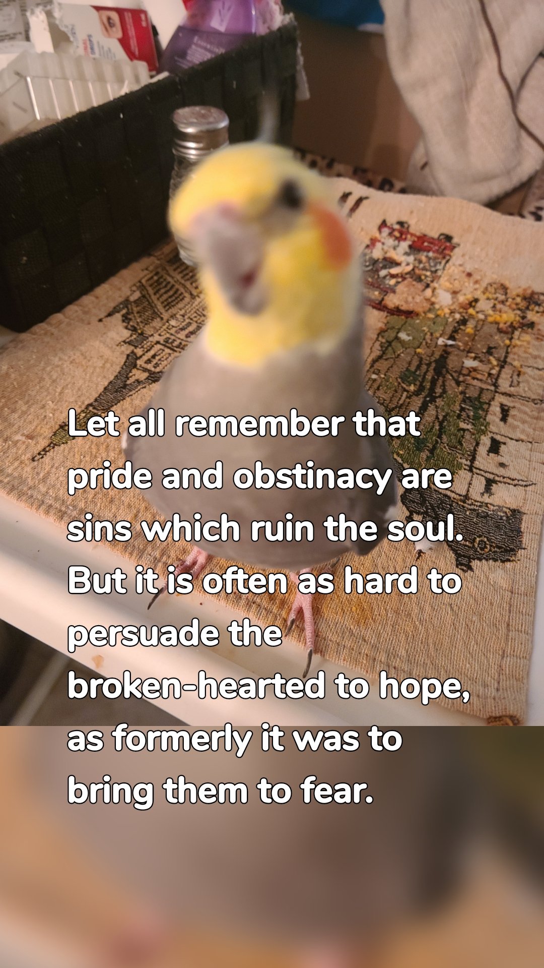 Let all remember that pride and obstinacy are sins which ruin the soul. But it is often as hard to persuade the broken-hearted to hope, as formerly it was to bring them to fear.