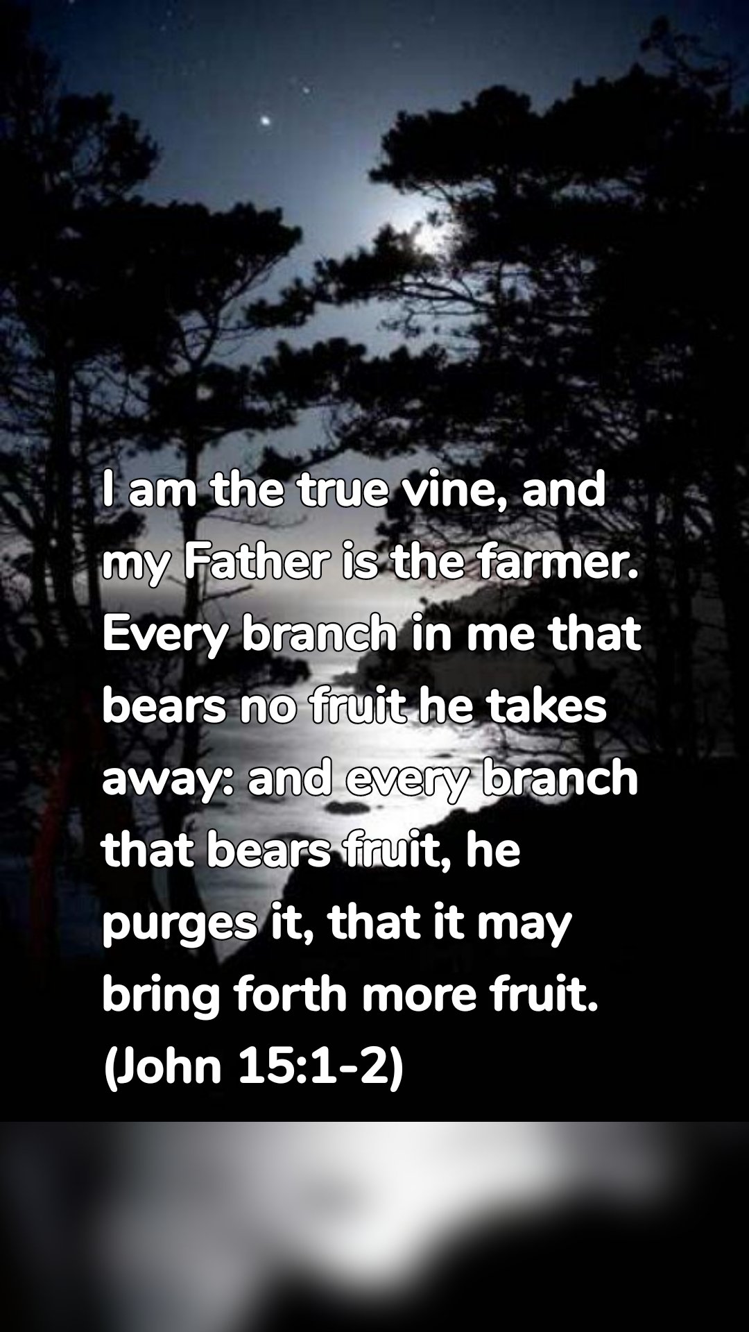 I am the true vine, and my Father is the farmer. Every branch in me that bears no fruit he takes away: and every branch that bears fruit, he purges it, that it may bring forth more fruit. (John 15:1-2)
