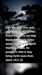I am the true vine, and my Father is the farmer. Every branch in me that bears no fruit he takes away: and every branch that bears fruit, he purges it, that it may bring forth more fruit. (John 15:1-2)