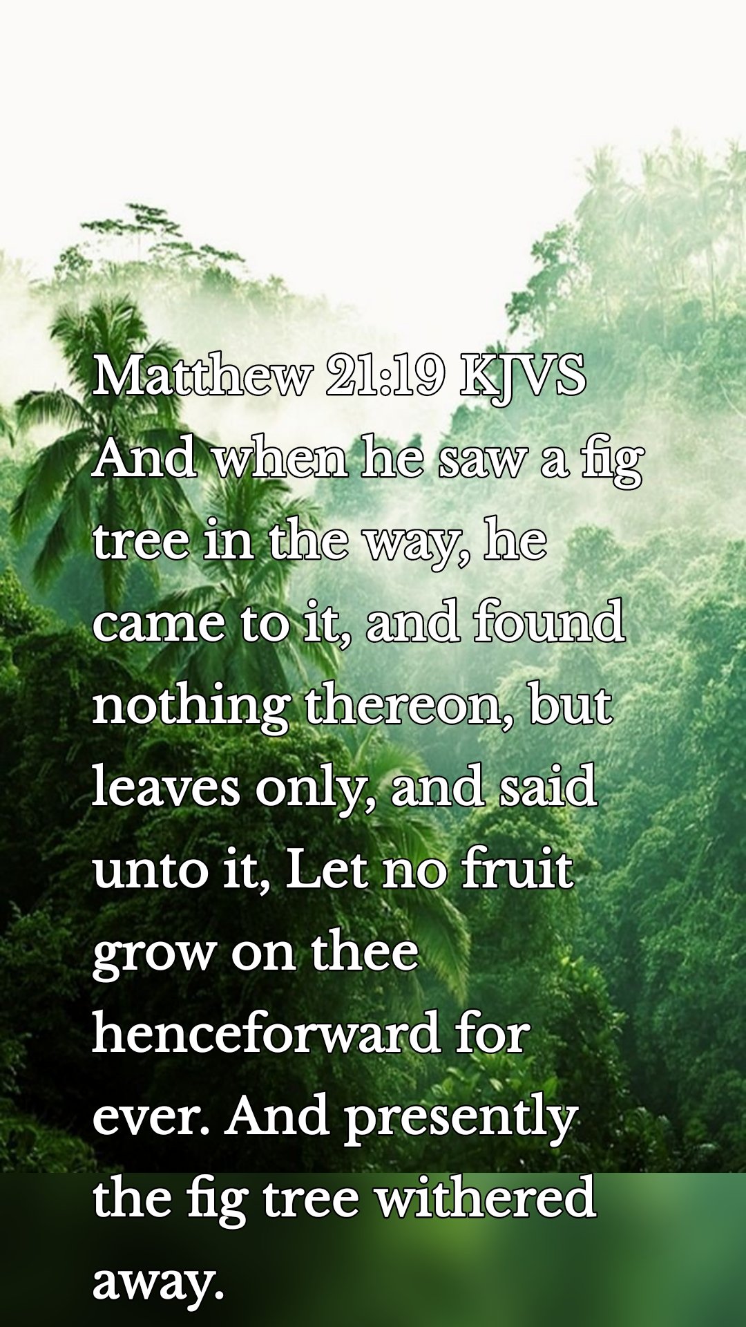 Matthew 21:19 KJVS
And when he saw a fig tree in the way, he came to it, and found nothing thereon, but leaves only, and said unto it, Let no fruit grow on thee henceforward for ever. And presently the fig tree withered away.