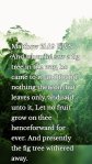 Matthew 21:19 KJVS And when he saw a fig tree in the way, he came to it, and found nothing thereon, but leaves only, and said unto it, Let no fruit grow on thee henceforward for ever. And presently the fig tree withered away.