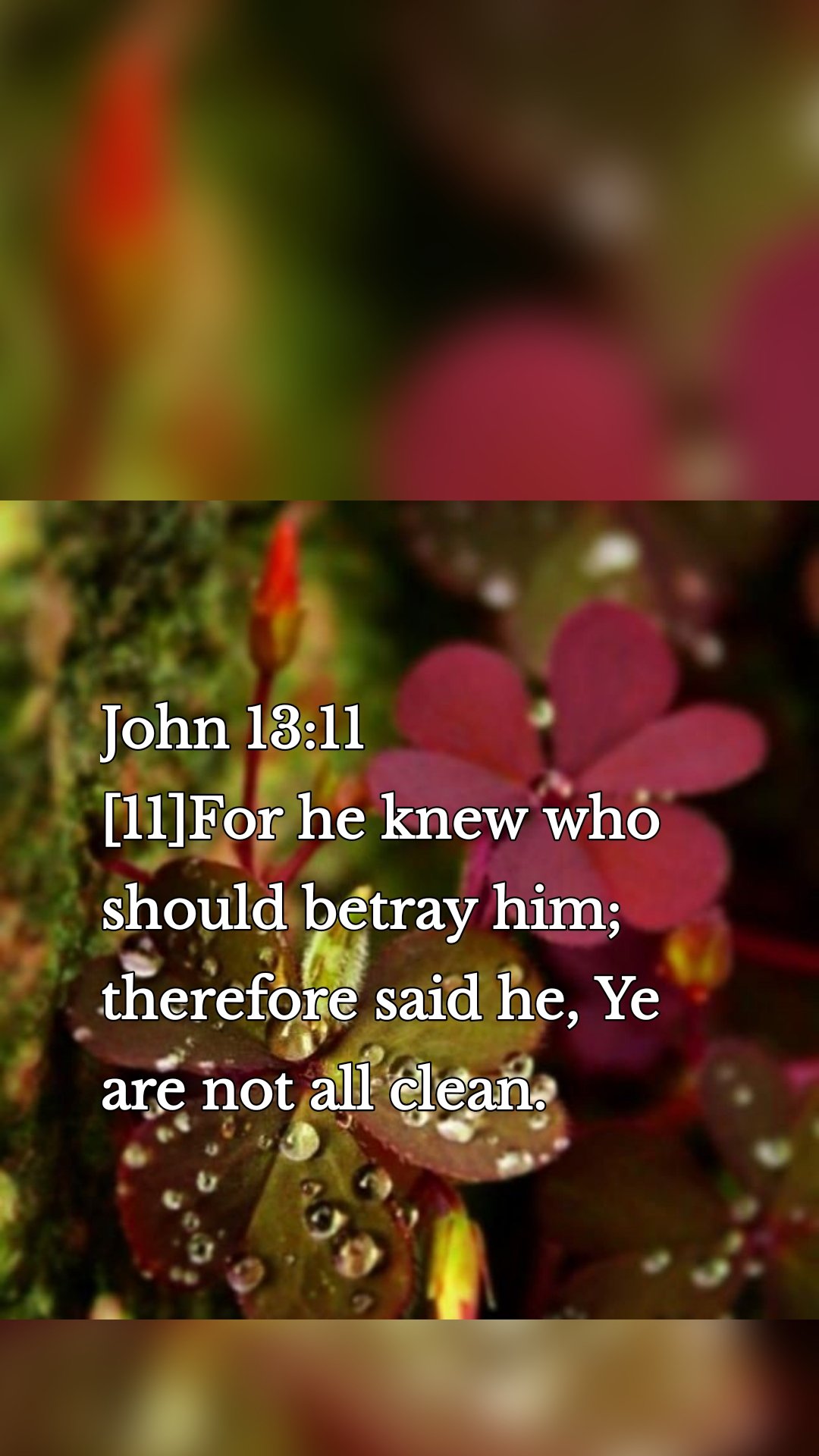 John 13:11
[11]For he knew who should betray him; therefore said he, Ye are not all clean.