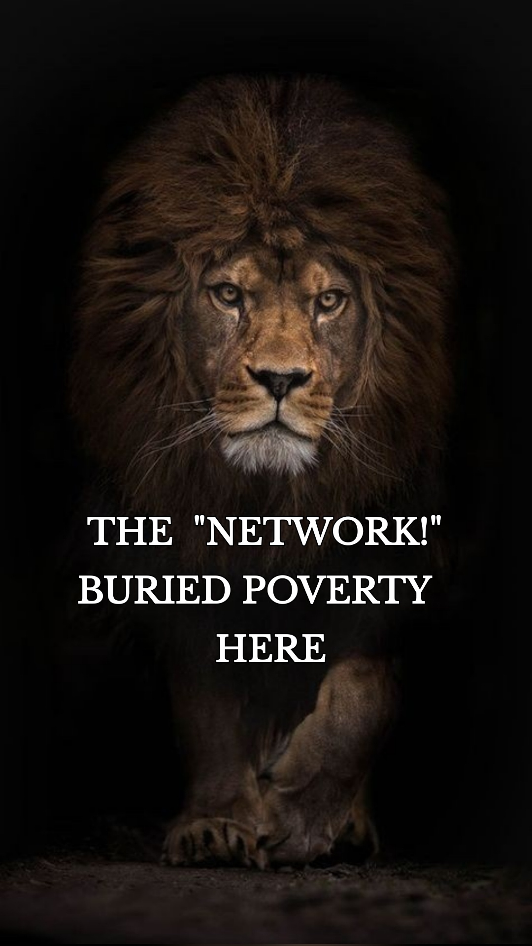 THE "NETWORK!" BURIED POVERTY HERE