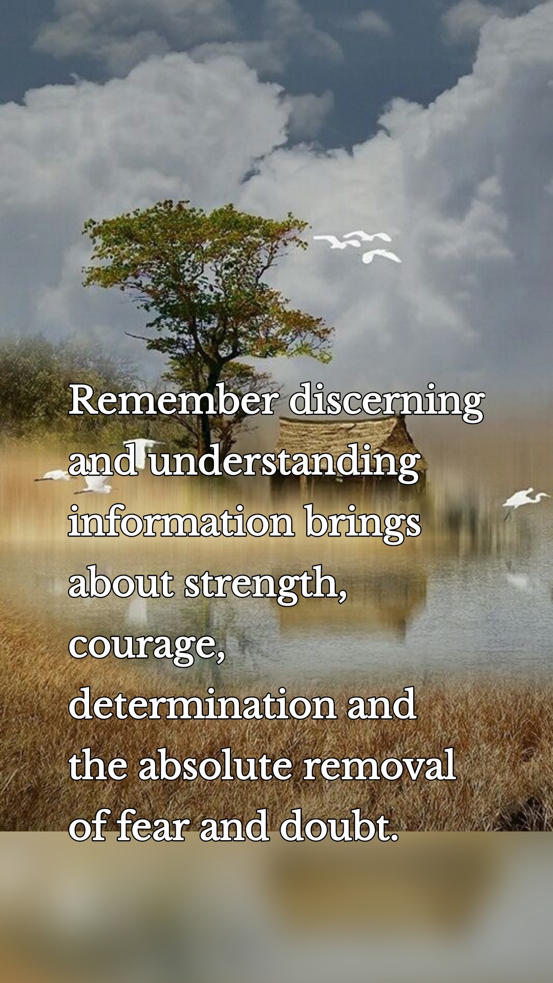 Remember discerning and understanding information brings about strength, courage, determination and the absolute removal of fear and doubt.