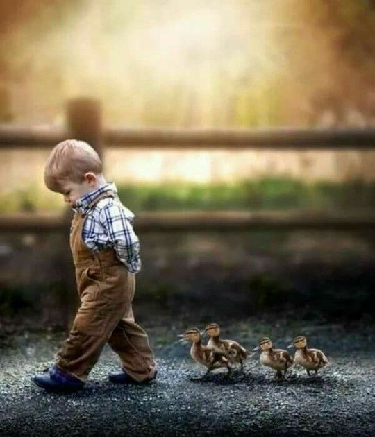 This image has an empty alt attribute; its file name is wp-158744445254390402484346681542345270692505237287199.jpg