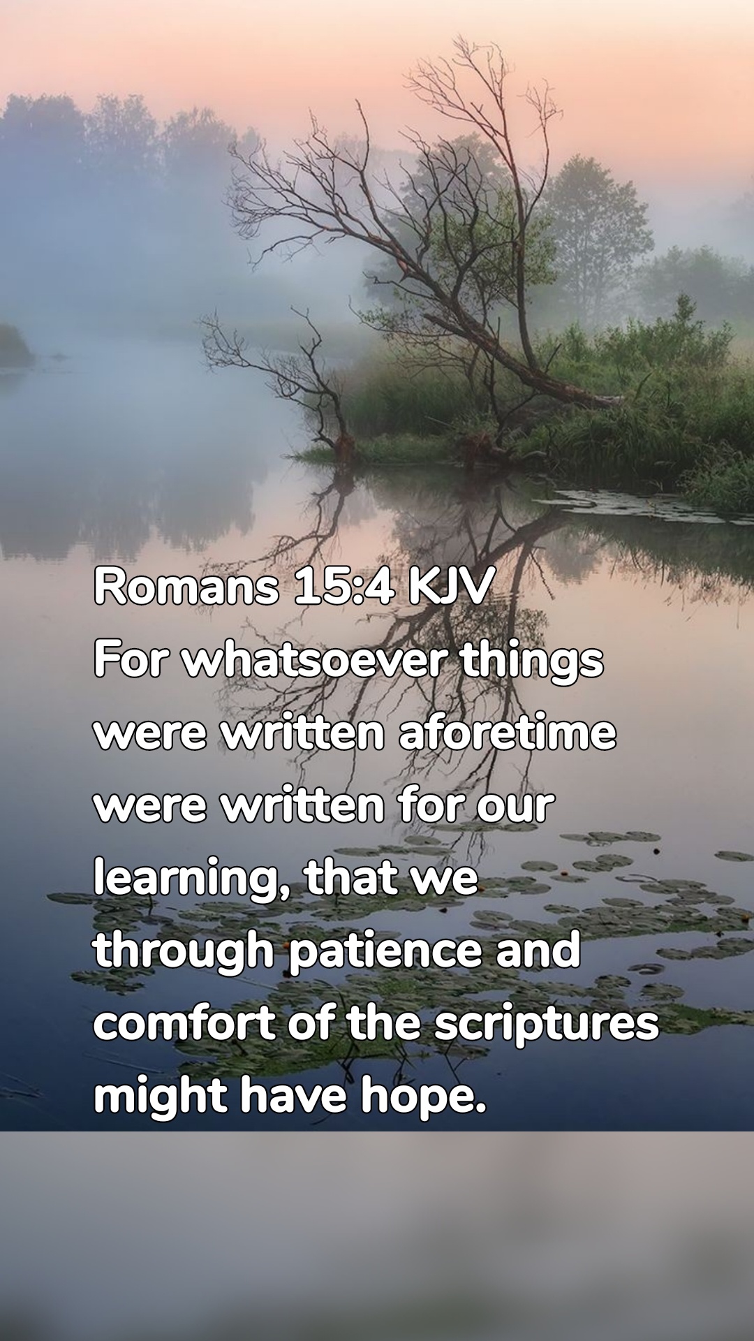 Romans 15:4 KJV
For whatsoever things were written aforetime were written for our learning, that we through patience and comfort of the scriptures might have hope.