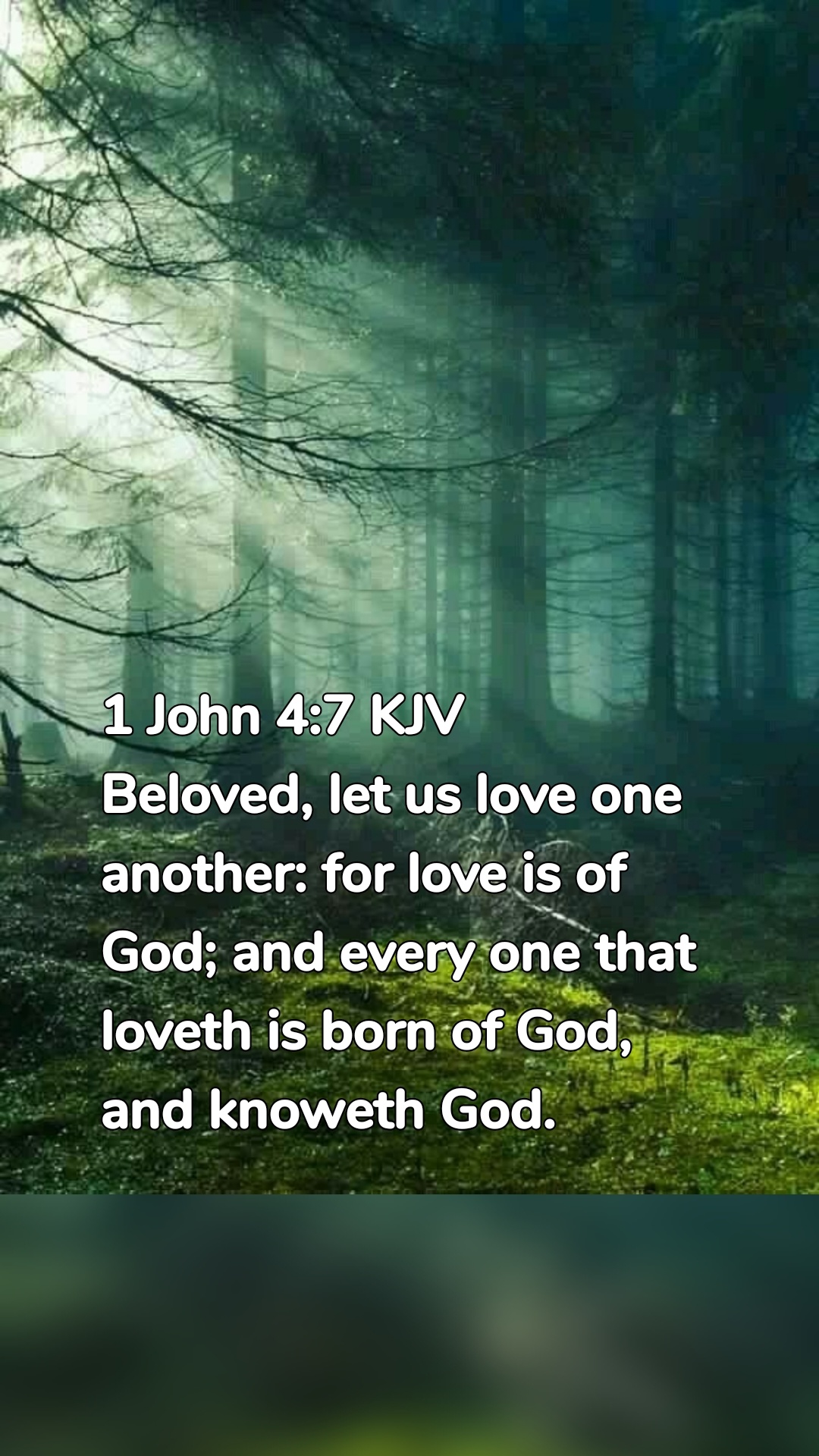 1 John 4:7 KJV
Beloved, let us love one another: for love is of God; and every one that loveth is born of God, and knoweth God.